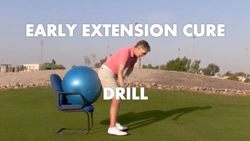 Early Extension Gym Ball